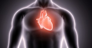 corazon