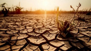desierto