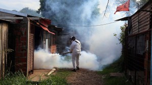 fumigacion
