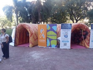 Colon inflable